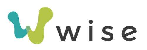 Wise Logo in color with Dark Text.