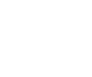 Wise Trainings Icon.