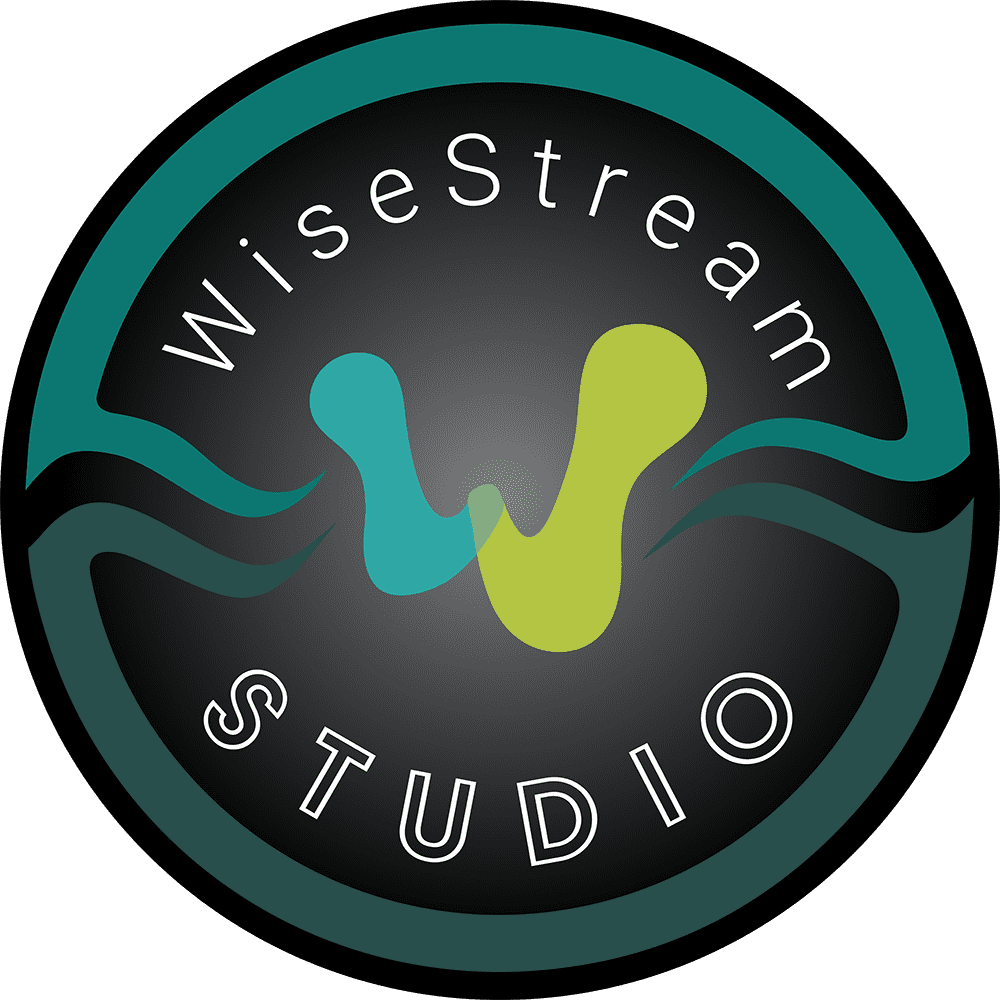 Wise Steam Logo.