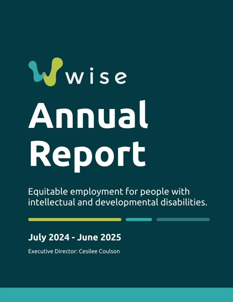 The cover of the Wise Annual Report 2024-2025.